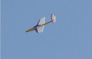 FJLeft1