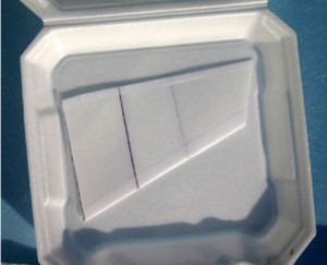 FJRight3